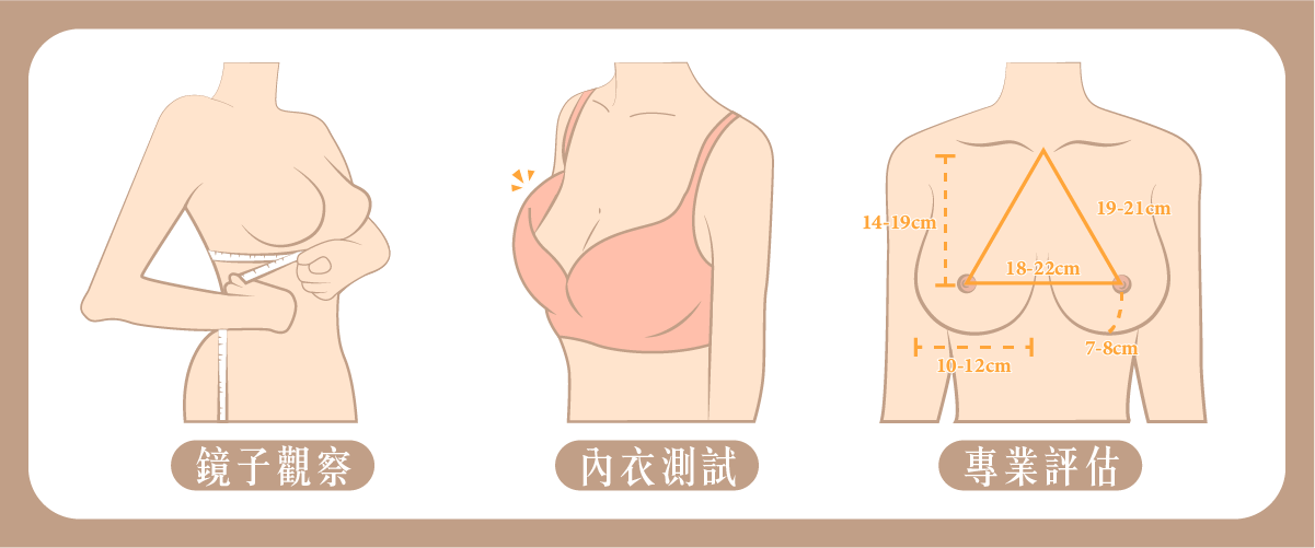 判斷胸型的方式有以下方式