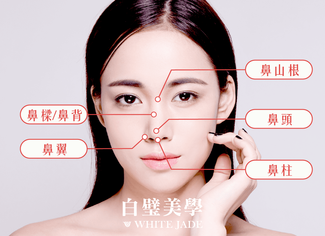白璧結構式隆鼻鼻型部位詳解1